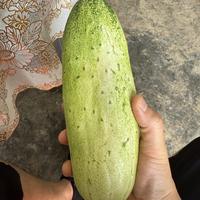 小江小河是我头像