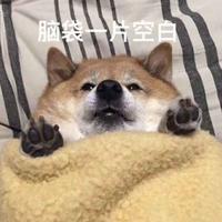 ζޓއއއ832头像