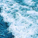 阿国拒绝了头像