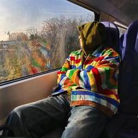 梧桐树上野花红。头像