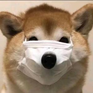 阿秋干饭日记头像