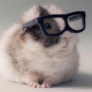 Try的个人资料头像