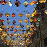 漂亮哈士奇在线学习的个人资料头像