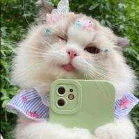 爱拍照的小李头像