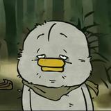 丛林5879头像