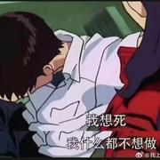 诗酒趁年华505的个人资料头像