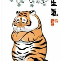 唐DMI等等等车帝头像