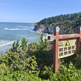 用户6938342009122头像