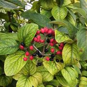 风雷280的个人资料头像