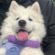 好名字都是别人的的个人资料头像