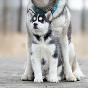 zero102的个人资料头像