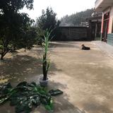 梦回唐朝873头像