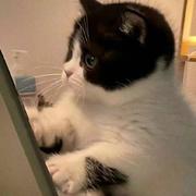 听钱塘信起的个人资料头像