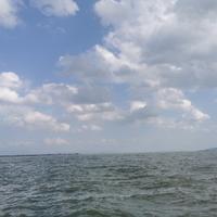 旺旺影视啊头像