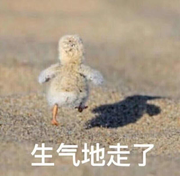 Timi_Lite的个人资料头像