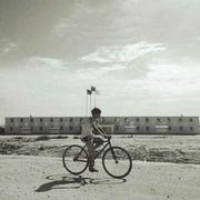 michaelxing的个人资料头像