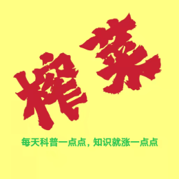 榨菜小科普头像