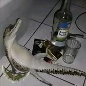 使命召唤战区手游大傻头像