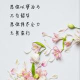 追梦8085792383585头像