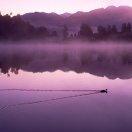 科技杰里7o1头像