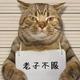 用户754850990468头像
