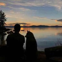 用户3695485626113头像