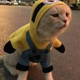 手感728头像