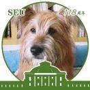 胡笳乐的个人资料头像