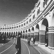 彧安的个人资料头像