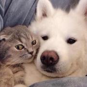 信鸽498的个人资料头像