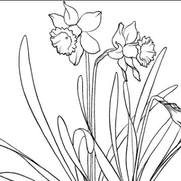 博学乐思学头像