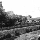 ZJW205头像