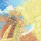 神农都不是的个人资料头像