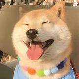 用户7508203114375头像