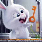 南方北岛的个人资料头像