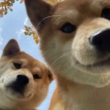 用户848523463073头像