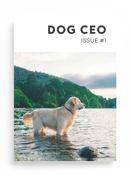 北纬275的个人资料头像