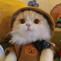 用户48159805头像