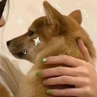 十一月夜241头像