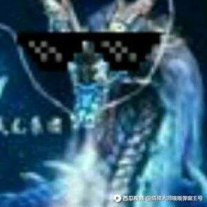 战龙集团迷占评论王头像