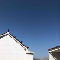 下一代更香头像