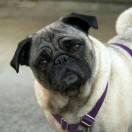 我无比真诚的热爱学习的个人资料头像