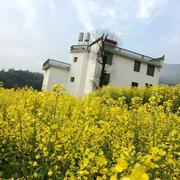 一月8号的个人资料头像