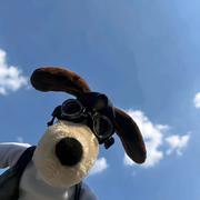 用户569185254491的个人资料头像