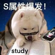 金鱼酱的个人资料头像