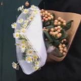 白鷺Y头像