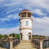 爱你的心很纯头像