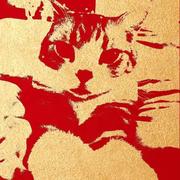 心有萌虎的个人资料头像