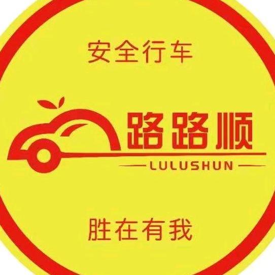 路路顺汽车陪练头像