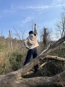 whd的个人资料头像